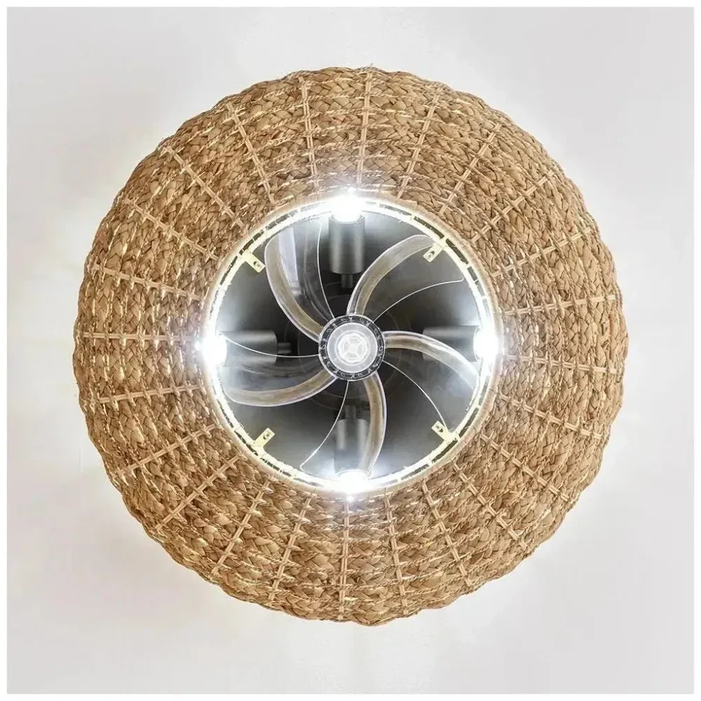 Ventilateur de plafond avec lampe et télécommande design naturel fonction été hiver Cecotec