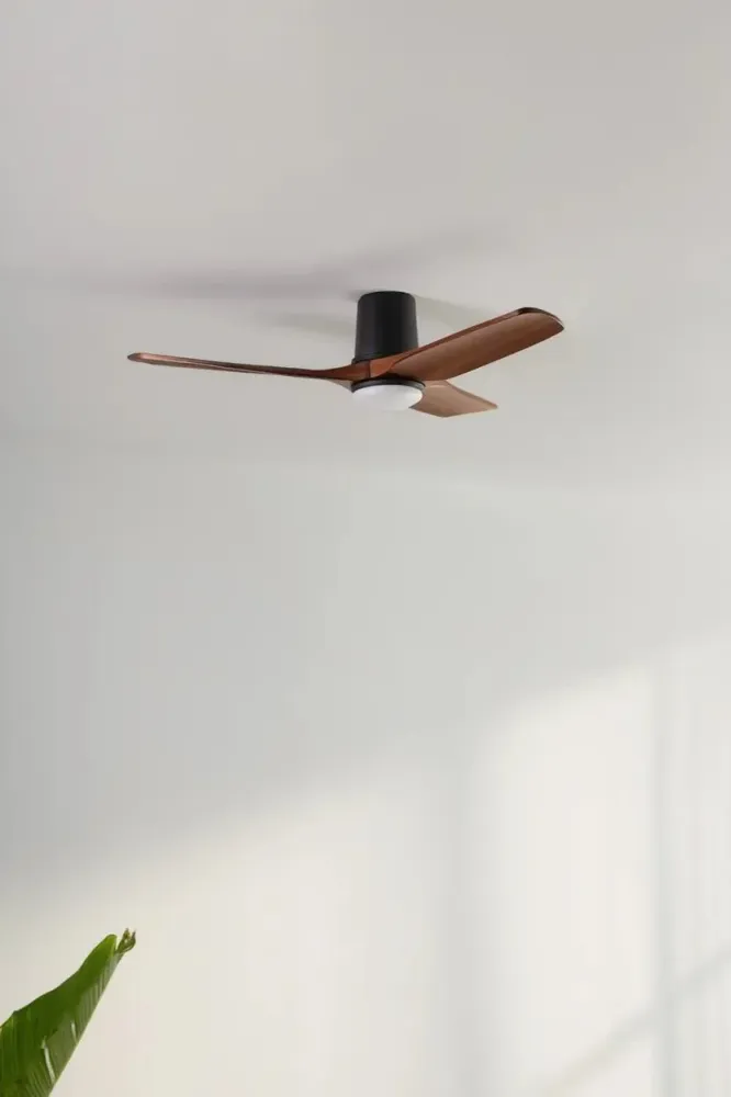 Ventilateur de plafond HEYWOOD TUB S noir avec luminaire