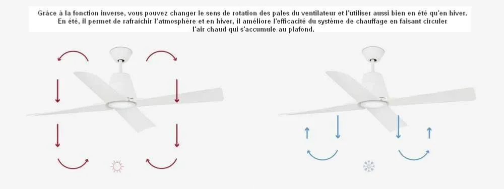 Ventilateur de plafond intérieur/extérieur TYPHOON blanc avec luminaire