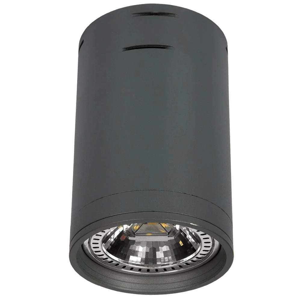 Spot de plafond VK Leading Light GU10 / ES111, H 13,5-19 cm White