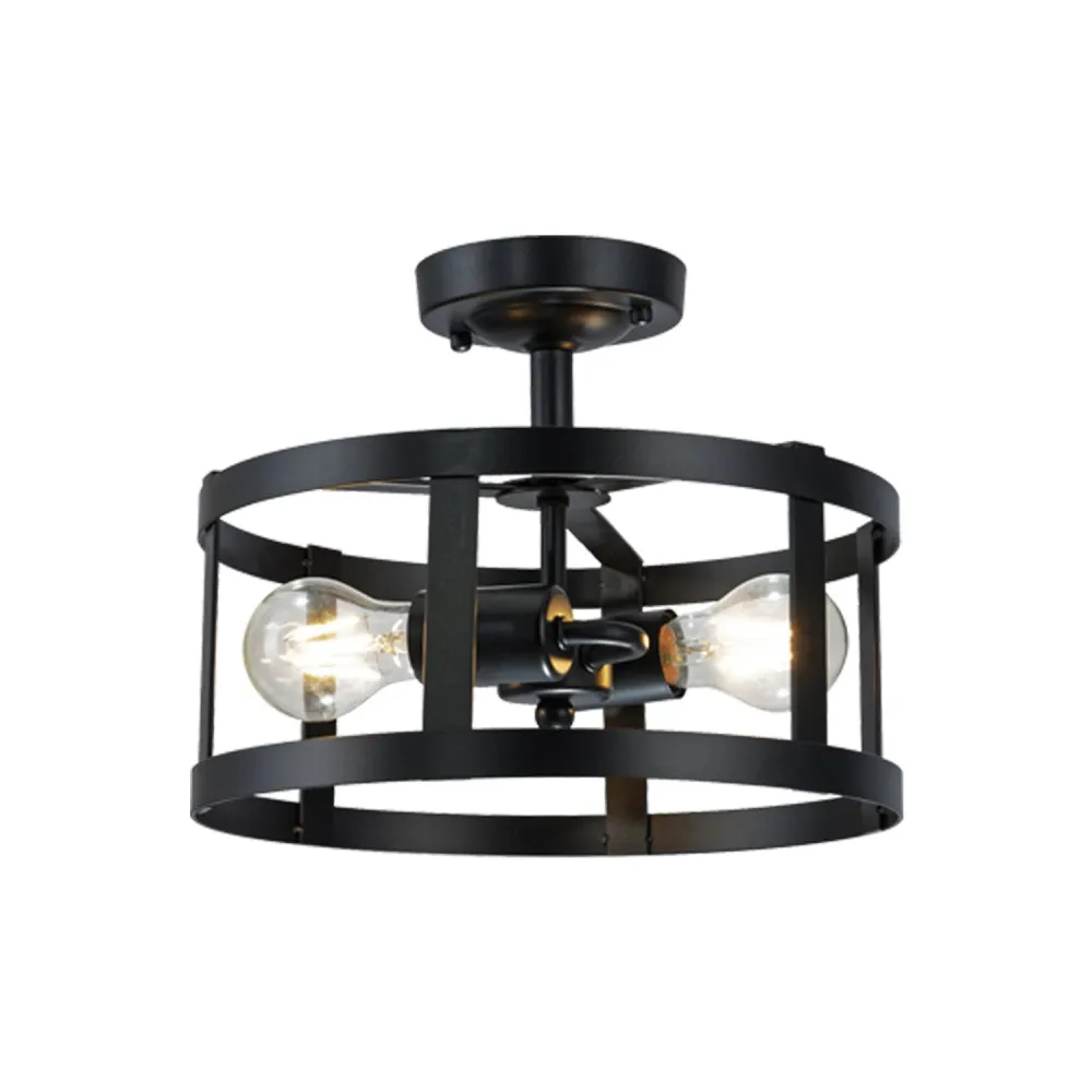 Xtricity - Plafonnier Décoratif à 2 Ampoules, Largeur de 11.8", De la Collection Preston, Noir
