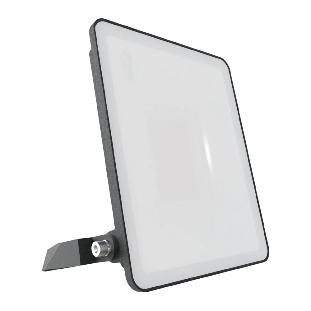 Xtricity - Projecteur DEL Étanche, 4750 Lumens, 50W, Pour Usage Extérieur, 4000K Blanc Froid