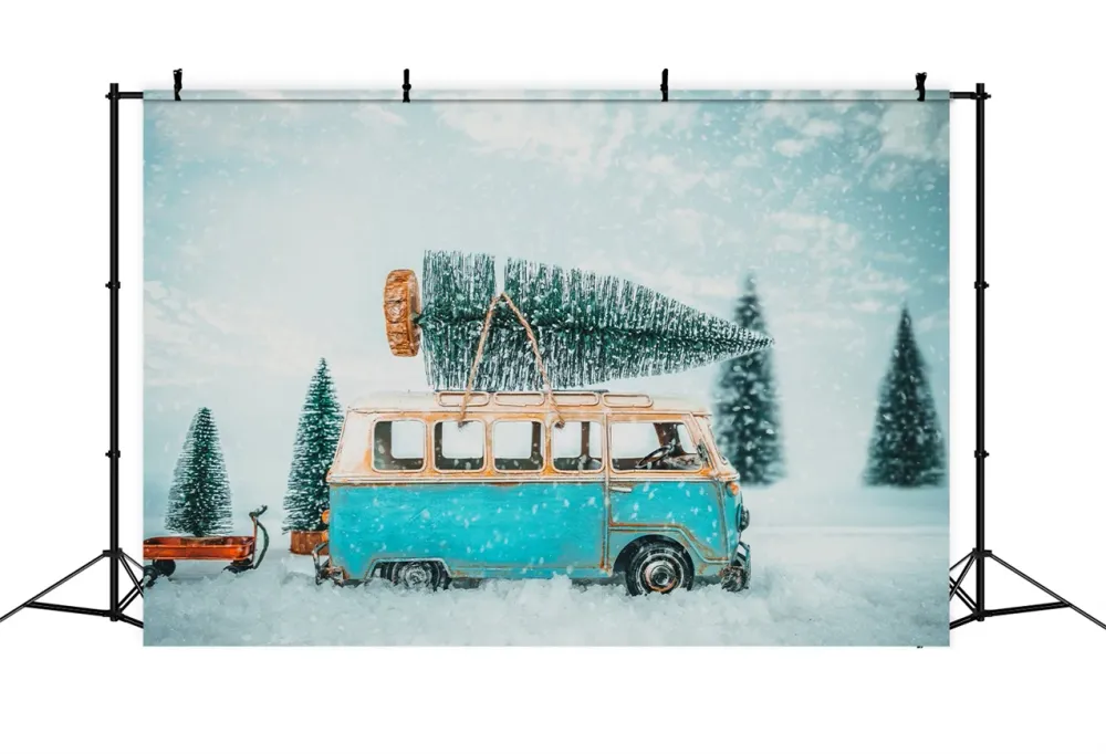 Toile de fond Hiver Van Vieux Chemin Enneigé BRP11-55