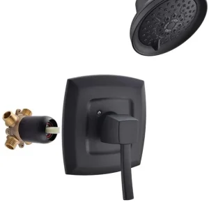 Appaso Douche Système Douche Robinet ensemble Baignoire et Douche Valve Kit Terne Black 110Mo