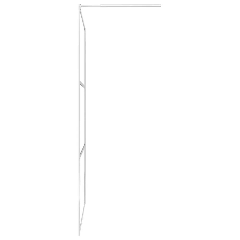Paroi de douche à l'italienne à verre ESG diaphane 100x195cm