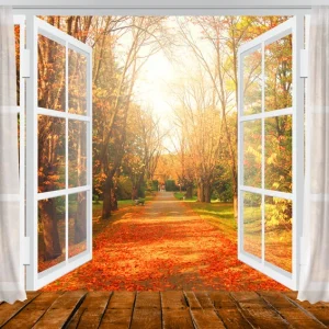 Automne Fenêtre Vue Feuilles D'érable Toile de Fond M6-101