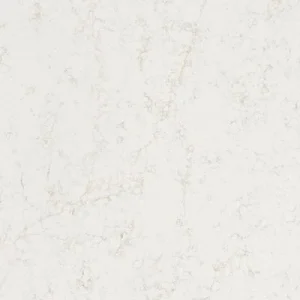 Adoucisseur d'eau Comptoir en quartz 2 cm - 3 cm LXHA Allegro SF 63 x 126 po
