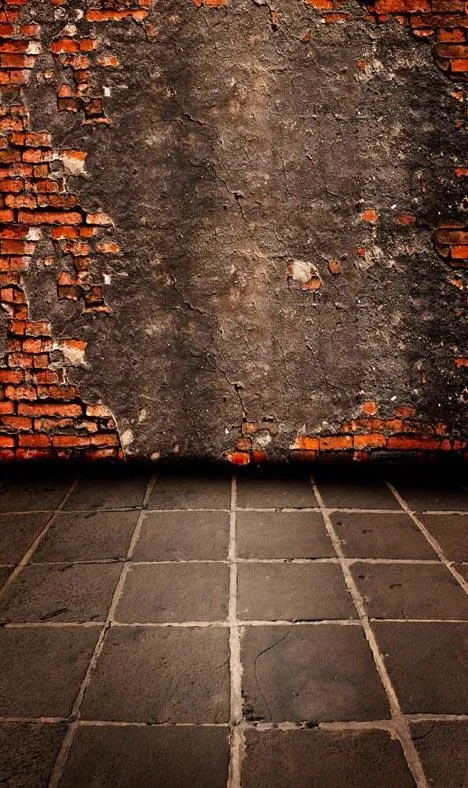 Toile de fond de plancher Mur de briques rouges endommagé pour la photographie F-1579