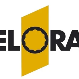 Kit de réparation ELORA 1/2 " pour cliquet traversant 770-LE1ZI 0770001092001 se procurer à bas prix
