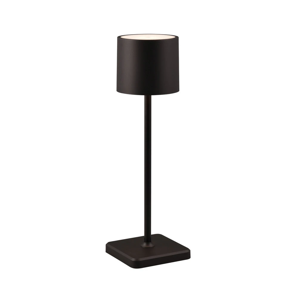 Plafonnier à suspension réglable Lampe de table LED Fernandez variateur/CCT noire