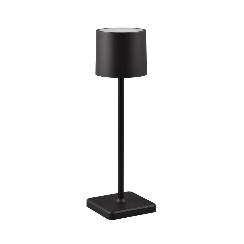 Plafonnier à suspension réglable Lampe de table LED Fernandez variateur/CCT noire