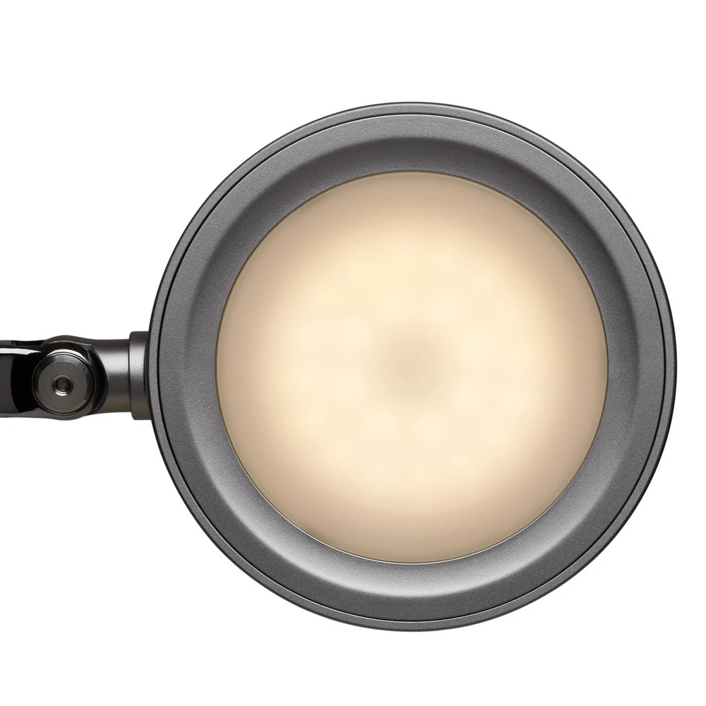 Lampe de table LED MAULgrace, colour vario, intensité variable, argenté pour décoration intérieure