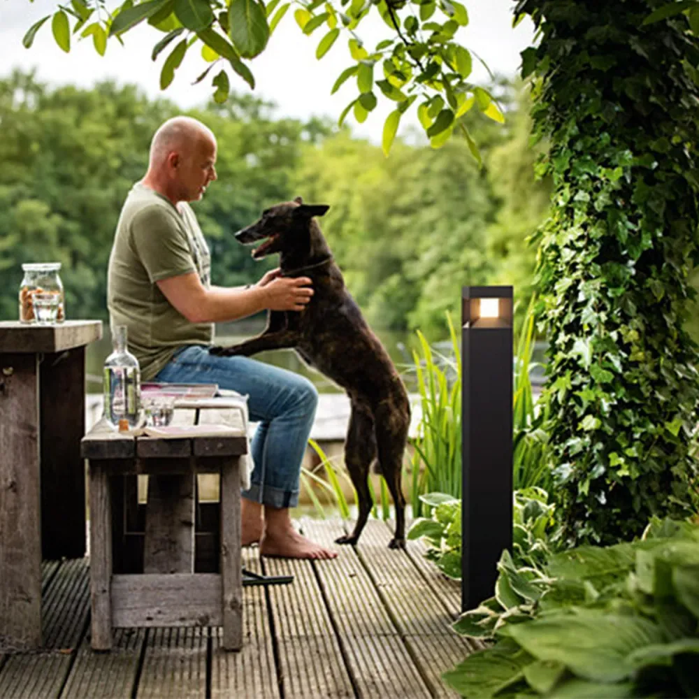 PHILIPS lumière LED extérieure 8W, monté sur poteau, hauteur 77cm, jardin en finition anthracite