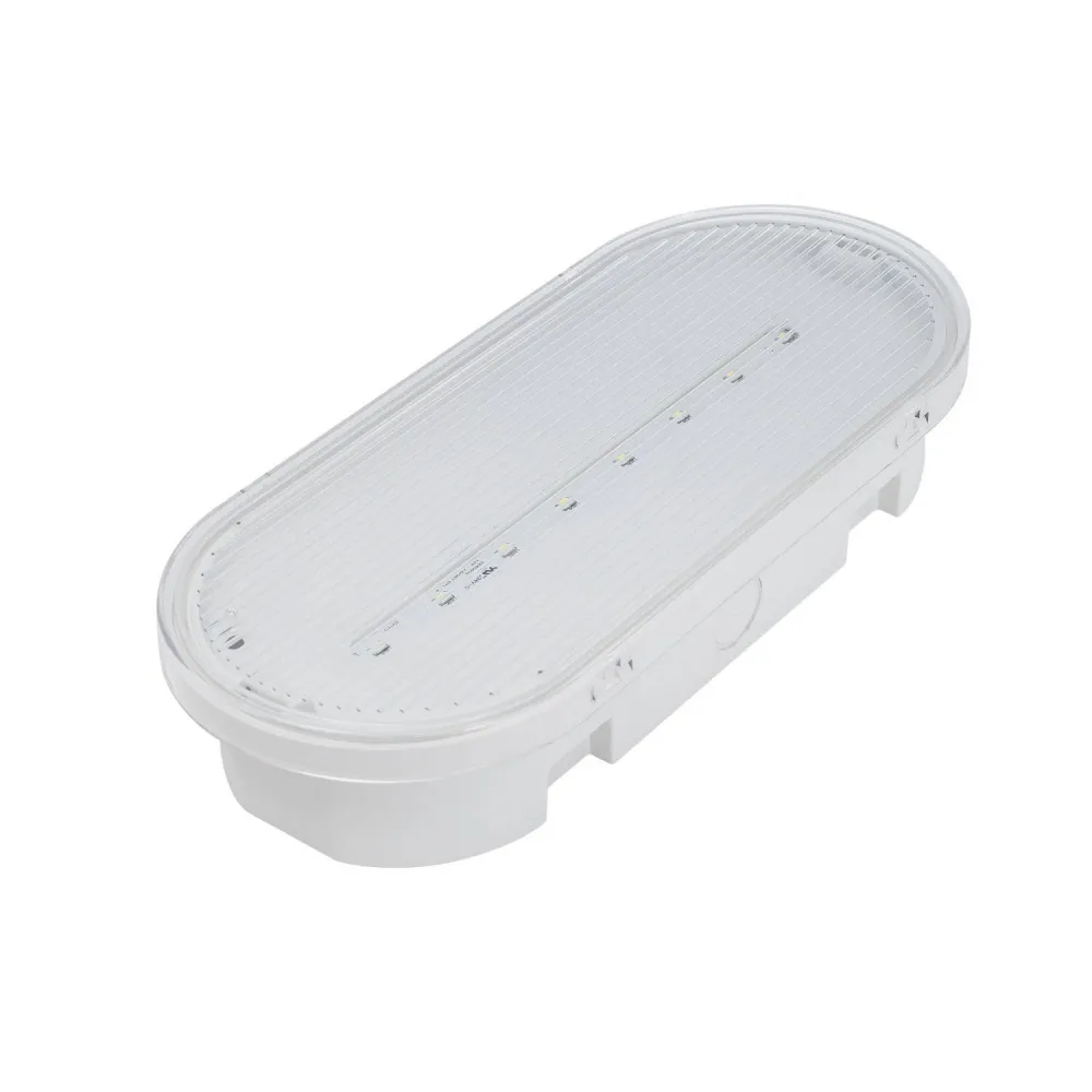 Luminaire de plafond à diffusion uniforme Éclairage de secours LED intégré ou en surface 120lm continu ou non IP65
