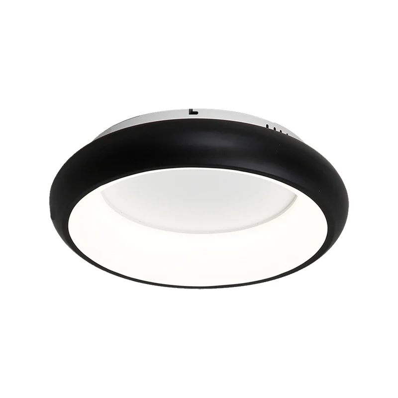 Plafonnier en forme de beignet de 19,5 po/25,5 po de largeur, lampe encastrée à DEL intégrée en métal et acrylique Macaron...