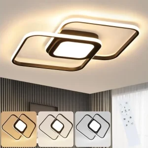 NETTLIFE Plafonnier LED Métal Noir 48W Salon de Chambre Novateur Dimmable avec Design Lampe de pour d'enfant Cuisine Salle...