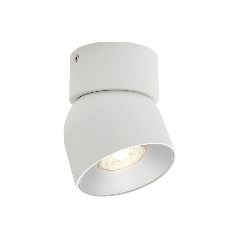 Downlight Pitcher, GU10, à 1 lampe, métal, blanc 5000K - lumière du jour