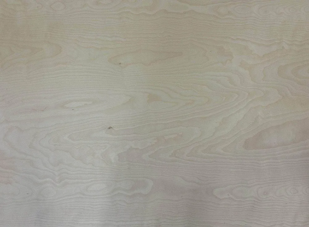 Contreplaqué bouleau âme peuplier - 2440 x 1220 x 10 mm (sans défaut)