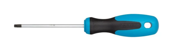 Tournevis Hazet profil intérieur TORX® T15 810-T15 magasiner à bas prix