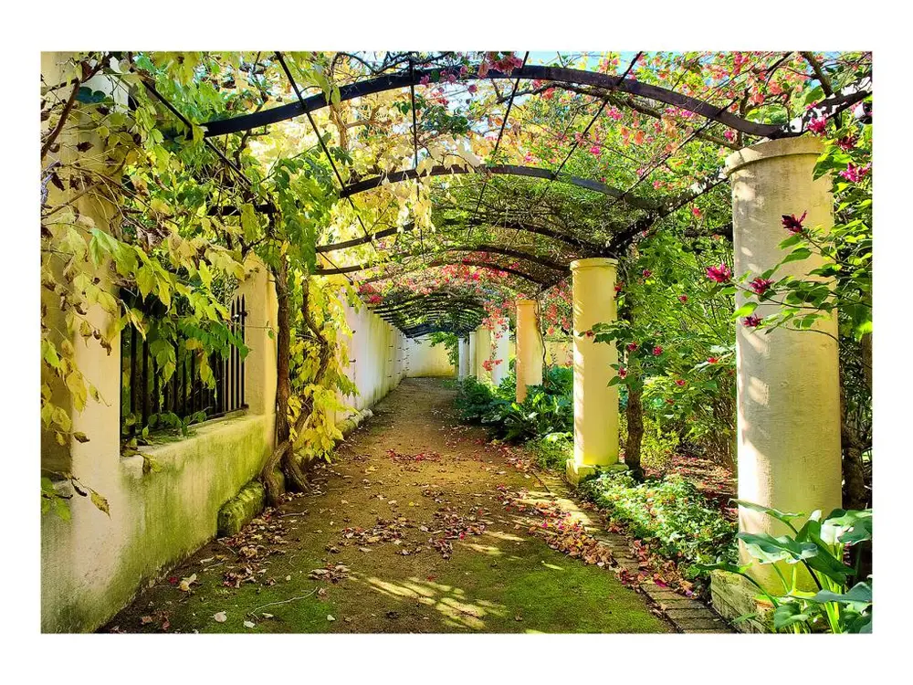Papier peint intissé 3D et Perspective Pergola : Taille - 100 x 70 cm Couleur Bleu Canard