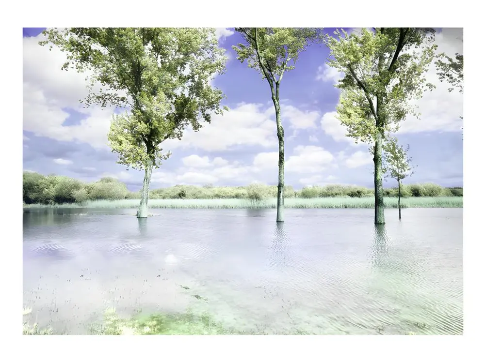 Certifié Écologique Papier peint intissé Paysages Spring scenery : Taille - 100 x 70 cm