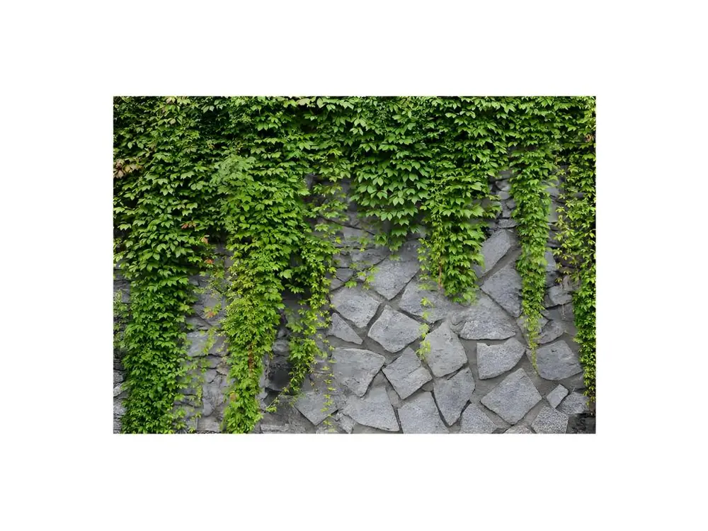 Couteau à enduire Papier peint intissé Fonds et Dessins Mur vert : Taille - 400 x 280 cm