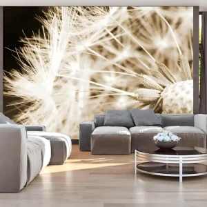 Papier peint intissé Fleurs Dandelion - sepia : Taille - 200 x 140 cm pour papier peint lourd
