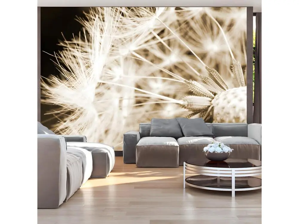 Papier peint intissé Fleurs Dandelion - sepia : Taille - 200 x 140 cm pour papier peint lourd