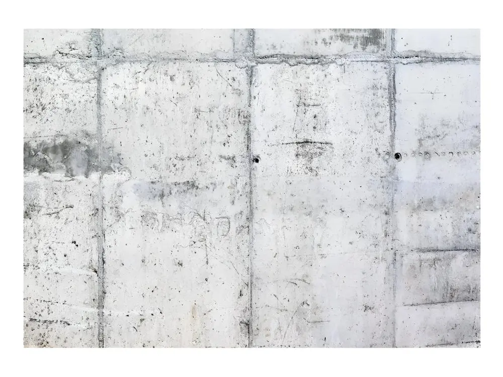 Papier peint intissé Fonds et Dessins Concrete Wall : Taille - 100 x 70 cm lavable et résistant