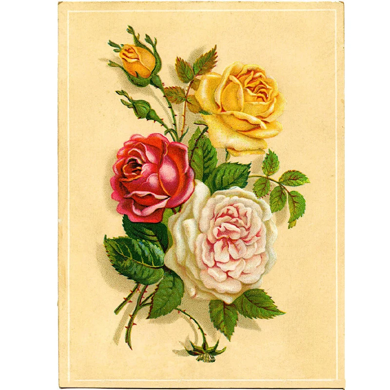 Papier peint mural contemporain en forme de fleur de Rose, intissé, résistant aux taches, Beige, Art mural pour la cuisine