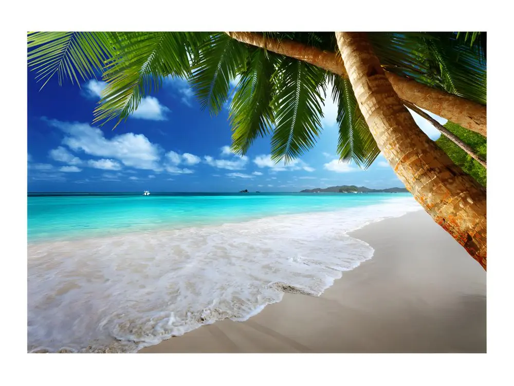 Pinceau à encoller Papier peint intissé Paysages Île tropicale : Taille - 200 x 140 cm