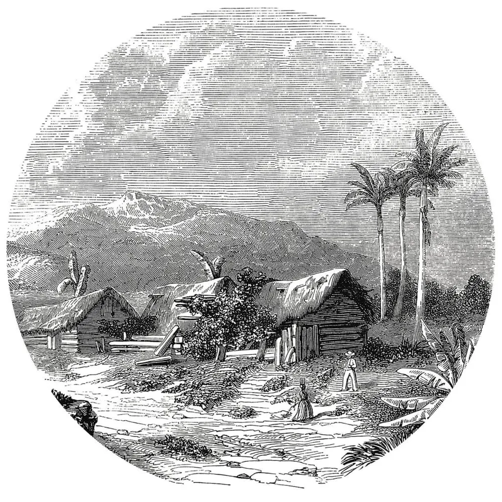 WallArt Papier peint cercle Landscape Guadeloupe 190 cm
