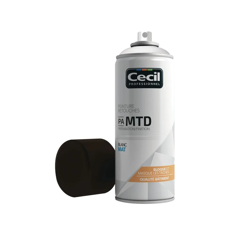 Professionnel Haute Couvrance Peinture de retouche mur et plafond