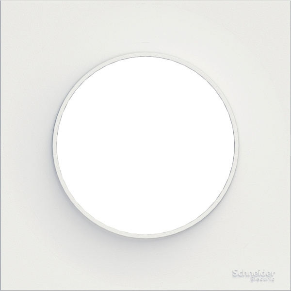 Cadre mural Plaque pour appareillage ODACE STYL - 1 poste - blanc - SCHNEIDER ELECTRIC