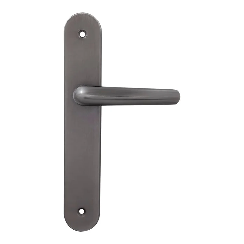 2 poignées de porte sur plaque rond Amga, entraxe 195mm, coloris titane pour porte d'entrée