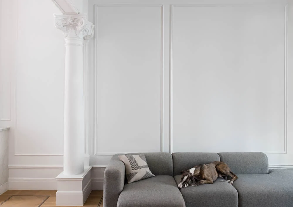 Haute Qualité Professionnelle Wandleiste PX117 weiß | 15 x 35 x 2000 mm