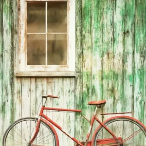 Professionnel Haute Résistance Toile de fond Grange Rustique Mur Vélo LXX57-396