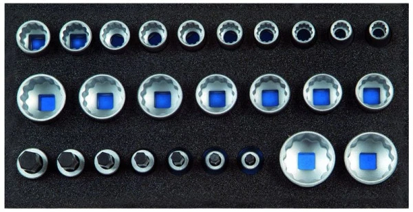 Insert GEDORE CT avec assortiment jeu d'inserts pour clés à douille 1/2'' profil UD CT 2308916...