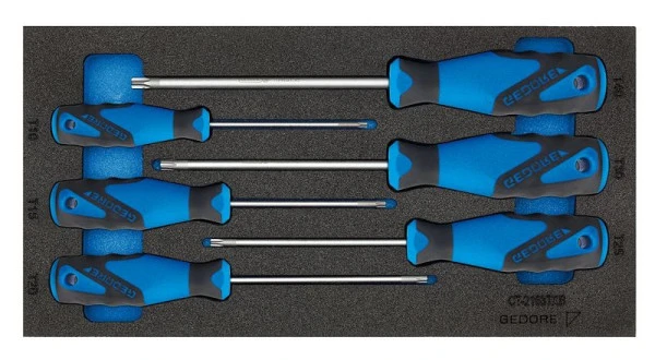 Insert GEDORE CT avec assortiment jeu de tournevis TXB 2309165 magasiner à bas prix