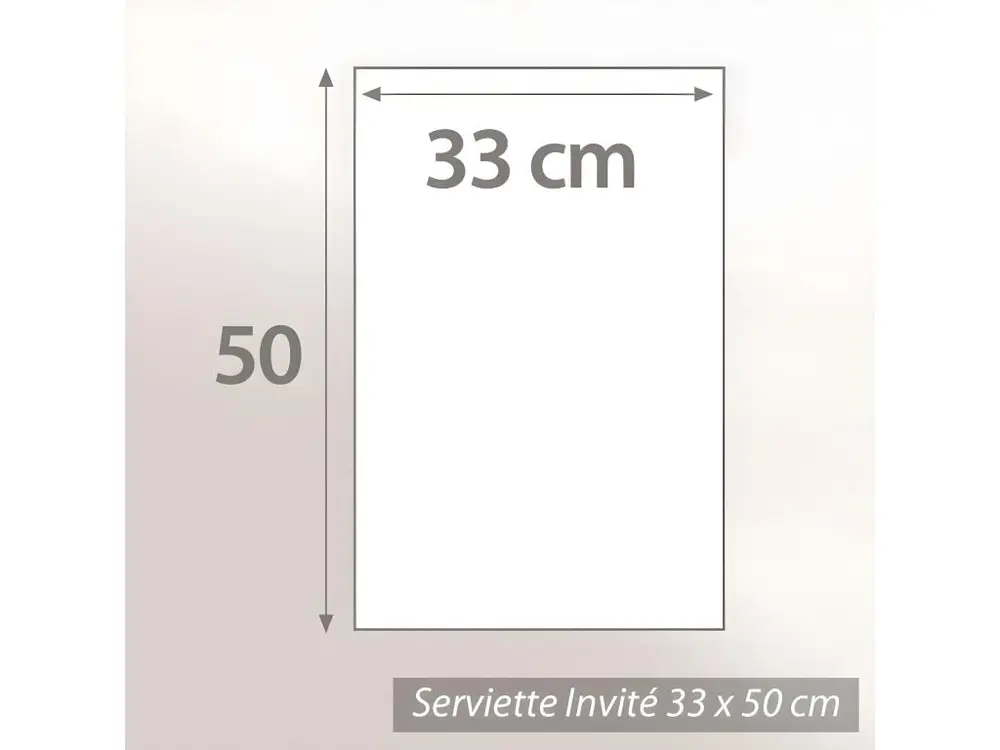 Ventilateur de Serviette Invité 33x50 cm NATUREL Anthracite 550 g/m2