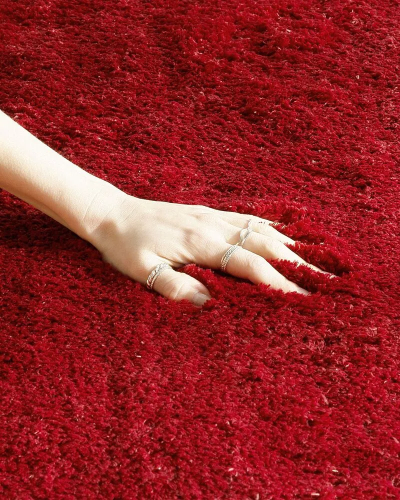 Vloerkleed tissu synthétique rood 200 x 300 cm EVREN