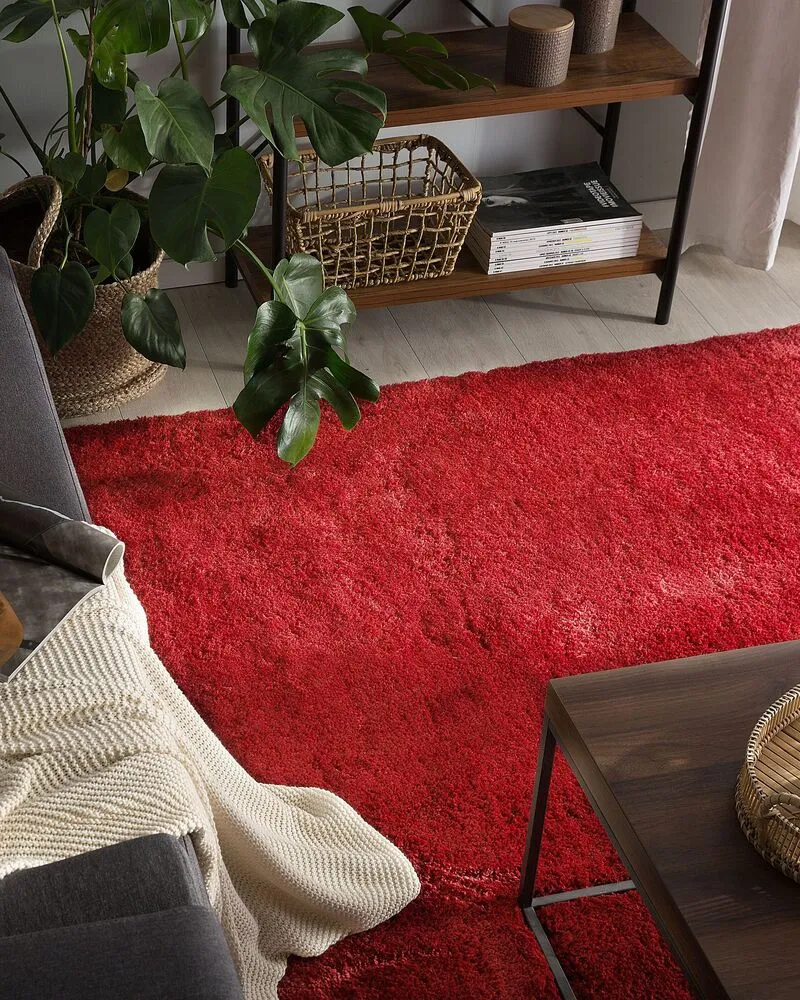 Vloerkleed tissu synthétique rood 200 x 300 cm EVREN