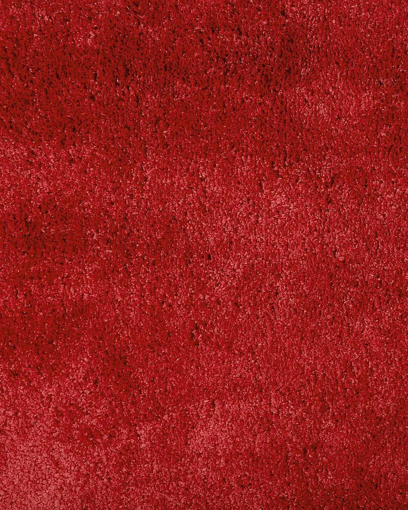 Vloerkleed tissu synthétique rood 200 x 300 cm EVREN