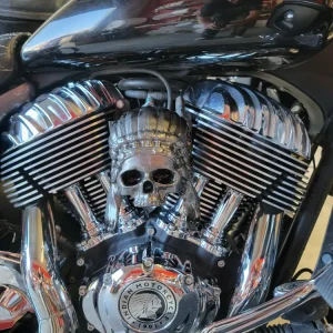Indian skull warbonnet Horn cover