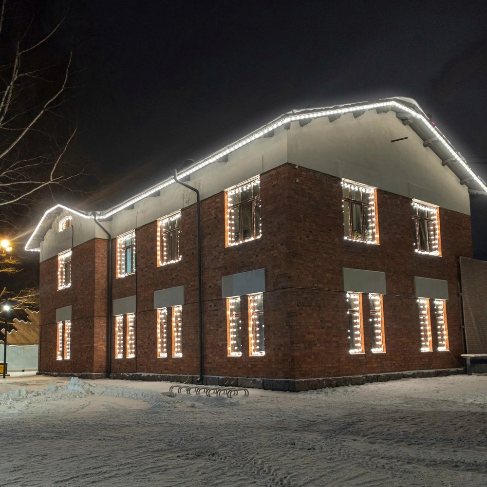 Cordon lumineux blanc glacial 15m - intérieur extérieur