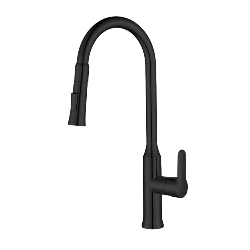 Robinet de cuisine noir mat (Certifié WRAS)