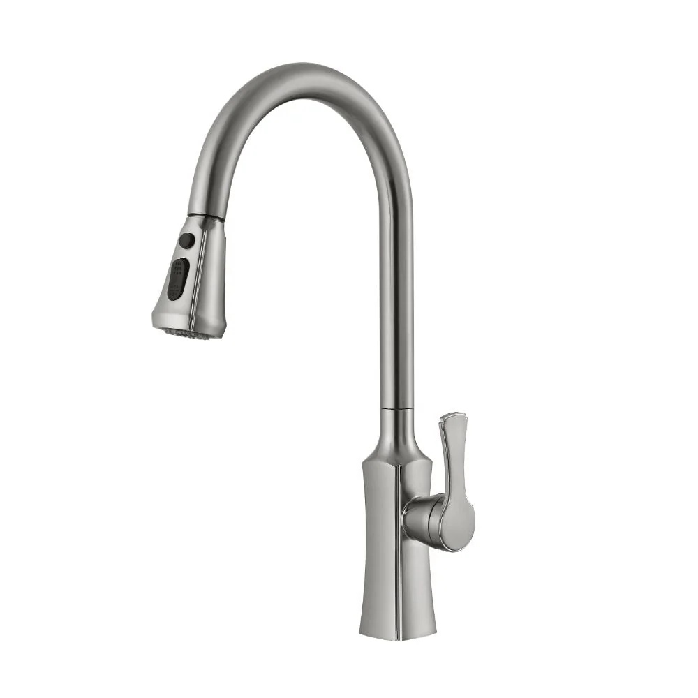 Robinet de cuisine Nortrends avec brosse en nickel avec Système Économie d'Eau