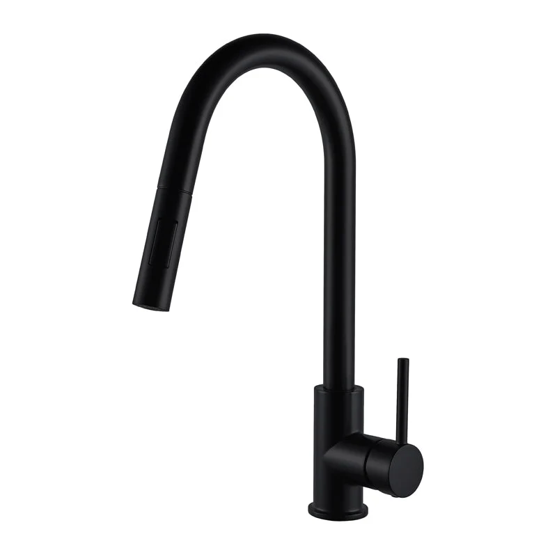 Robinet de cuisine à tirette pour Lavabo Suspendu