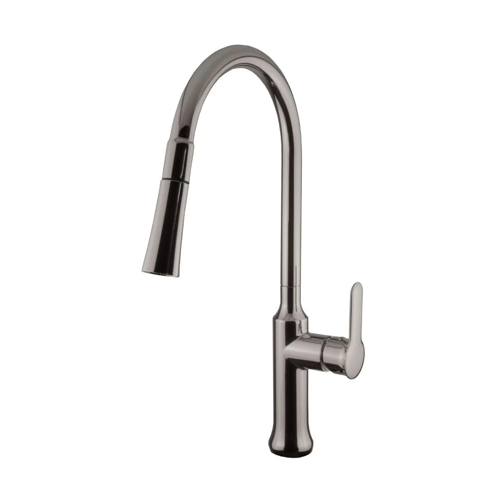 Siphon à Évacuation Robinet de cuisine Nortrends avec brosse en nickel