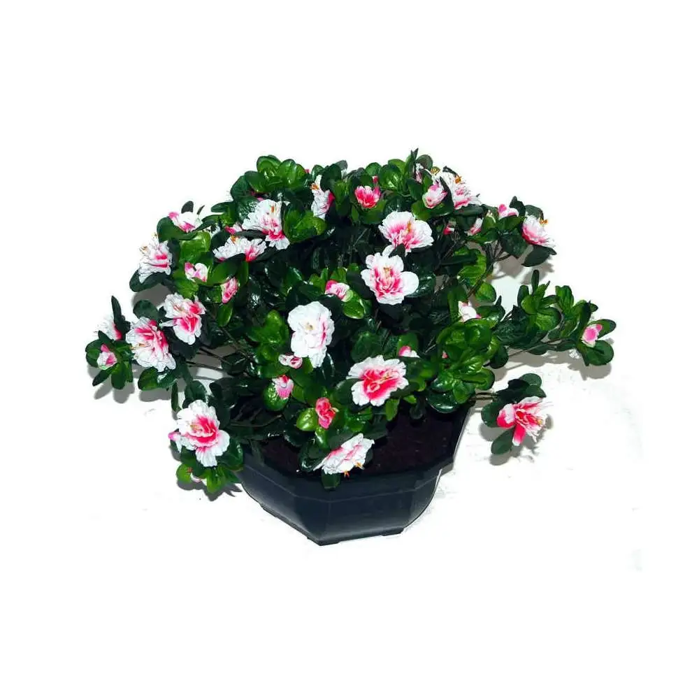 Pièce Détachée d'Origine Coupe de 11 azalée rose, H37Cm - L44Cm, 3,5Kg Marichal